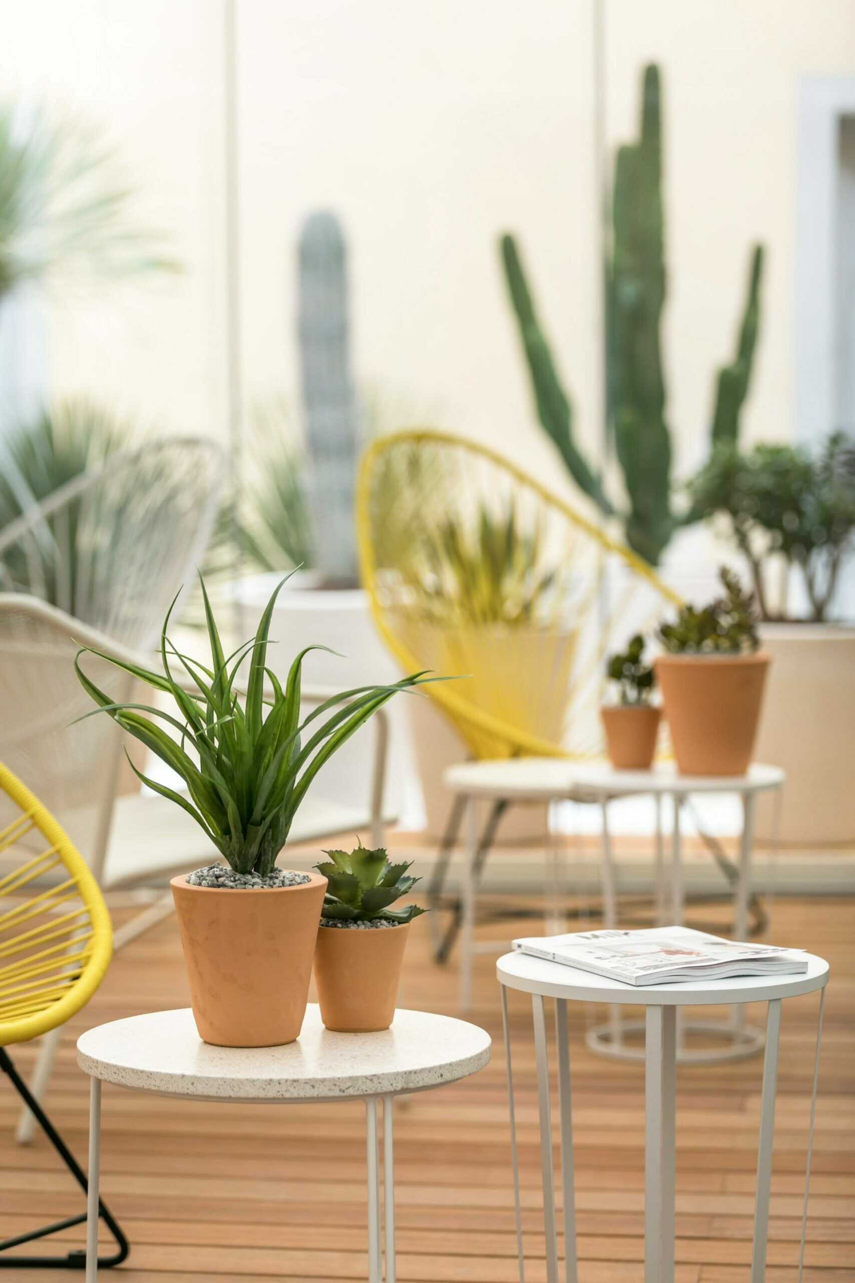 the_deck_hotel_by_happyculture_patio-scaled.jpg